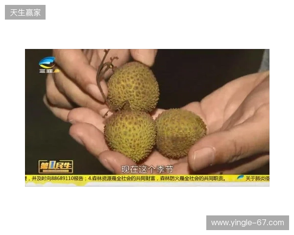 穆德里克因车窗贴膜颜色过深被拦下后,被发现禁驾期内驾驶 穆德里克因车窗贴膜颜色过深被拦下后,被发现禁驾期内驾驶